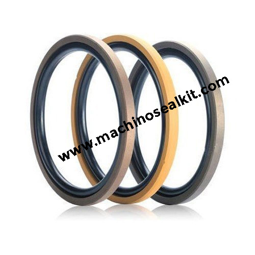 PTFE Piston Seal (with o ring)